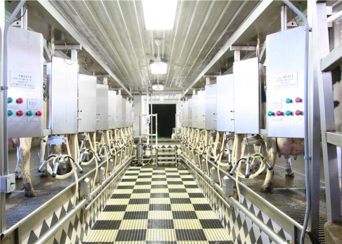 Linea di produzione del latte crudo da A alla bottiglia di vetro completa di Z/bottiglia del PE